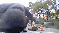 1660537073653628.gif 0.gif
