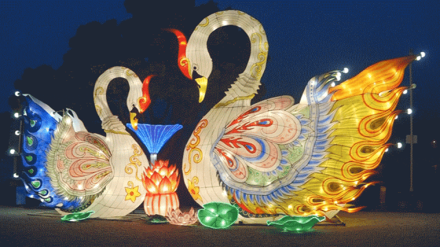 1690164123741154.png image.png