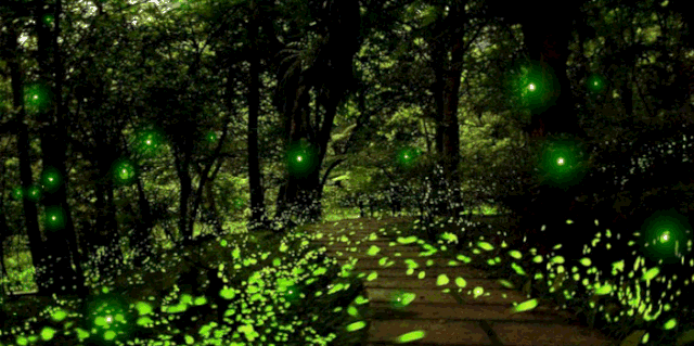 1690163072142020.png image.png