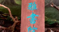 我奋斗了30年，为了有机会和你一起坐下来喝茶