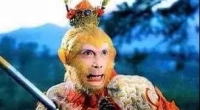 孙悟空有能力，为什么不能当领导？